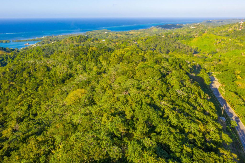 Milton Bight, Roatan Real Estate Roatan Executive Realty