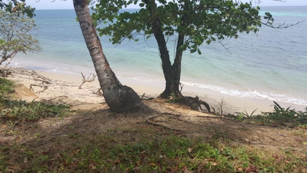 5.14 acre beachfront in Helen Santa Helena, Roatan Roatan Executive