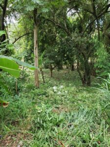 Roatan condo for sale