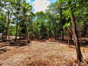Plantation Point Land for Sale