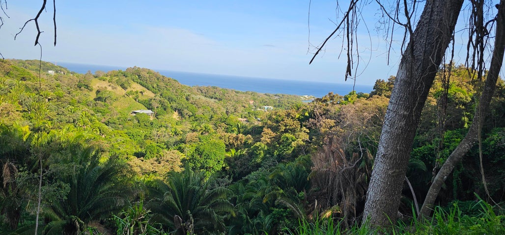 0.25 acre lot Crimson View 1, Gibson Bight