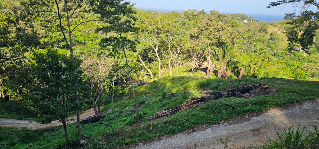 0.25 acre lot Crimson View 1, Gibson Bight — foto 2