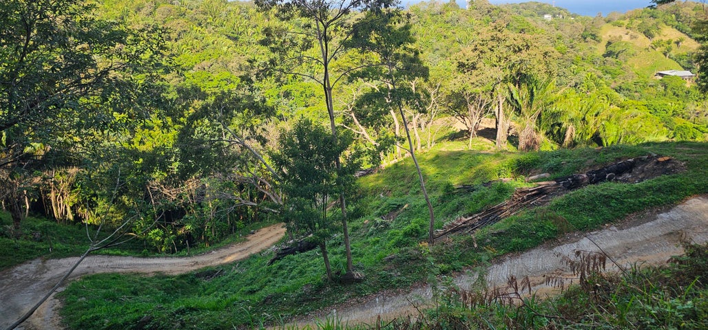 0.25 acre lot Crimson View 1, Gibson Bight — foto 3