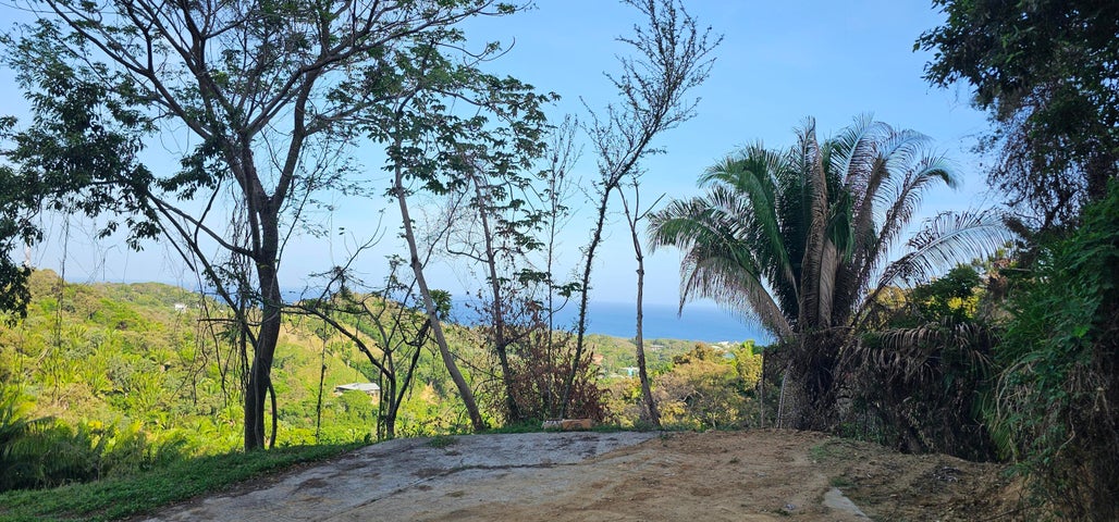 0.25 acre lot Crimson View 1, Gibson Bight — foto 4