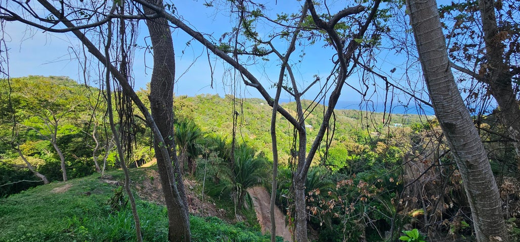 0.25 acre lot Crimson View 1, Gibson Bight — foto 5